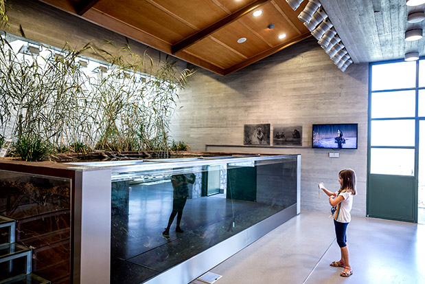 Πολιτισμός Hi-Tech-1