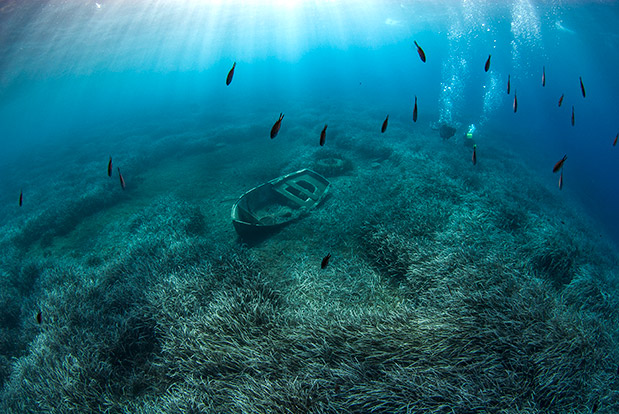 Η Σαντορίνη ανήκει (και) στα ψάρια της-3