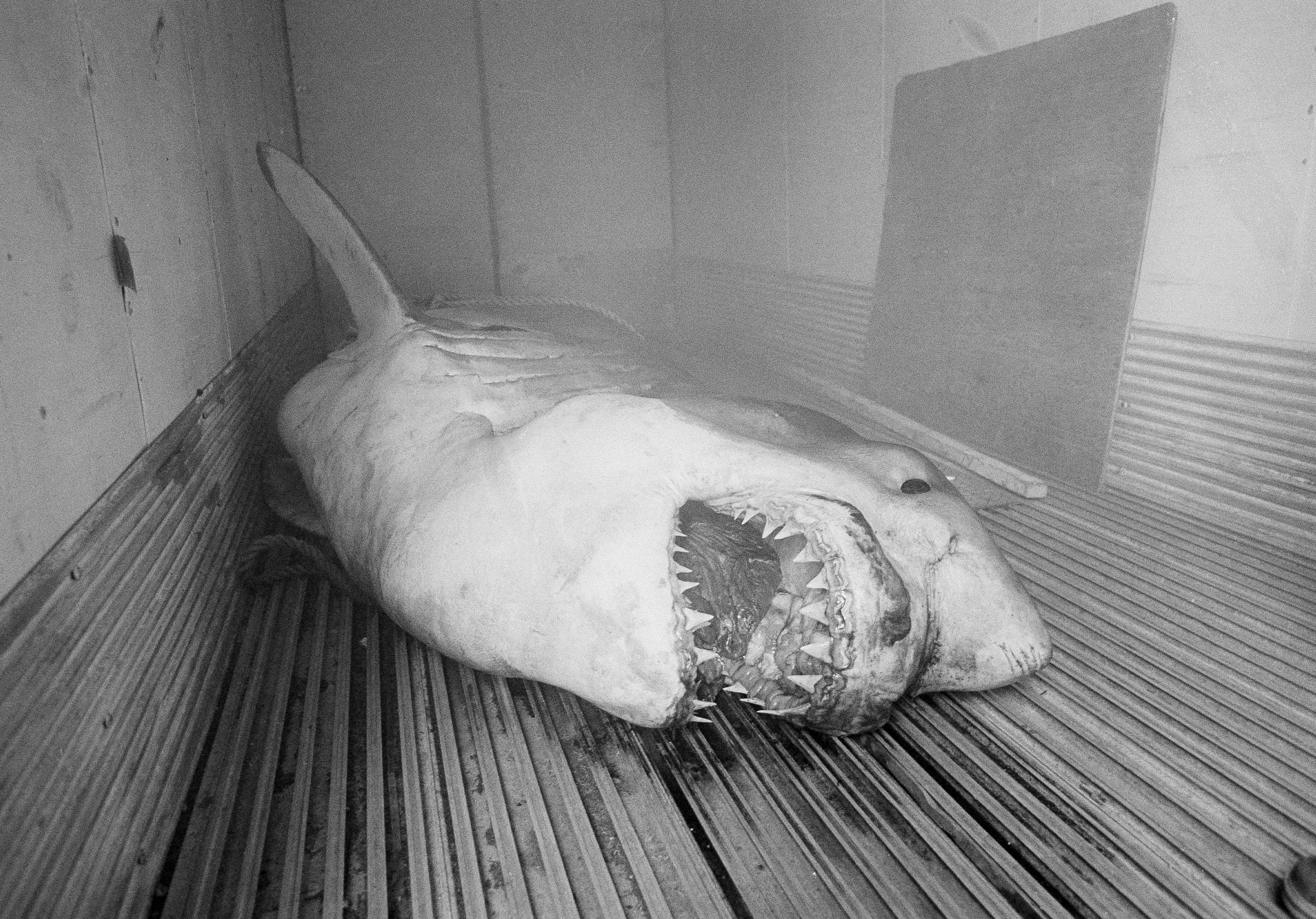 Flashback στην 8η Αυγούστου-2