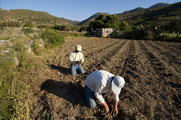 Αμοργός: Παράθυρο στο Αιγαίο-8