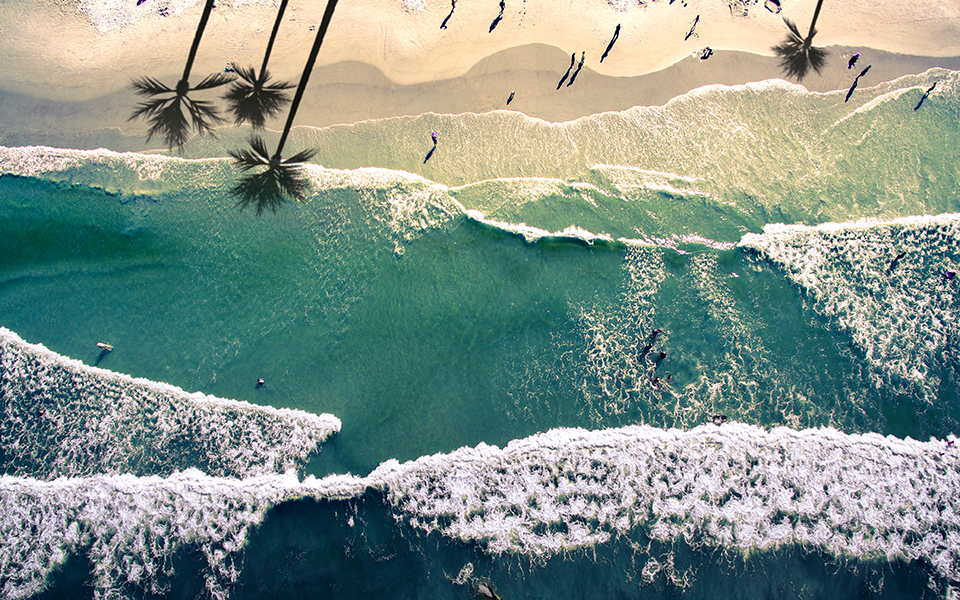 Στην παραλία της Νέας Σμύρνης στην Φλόριντα οι περισσότερες επιθέσεις καρχαριών παγκοσμίως-1