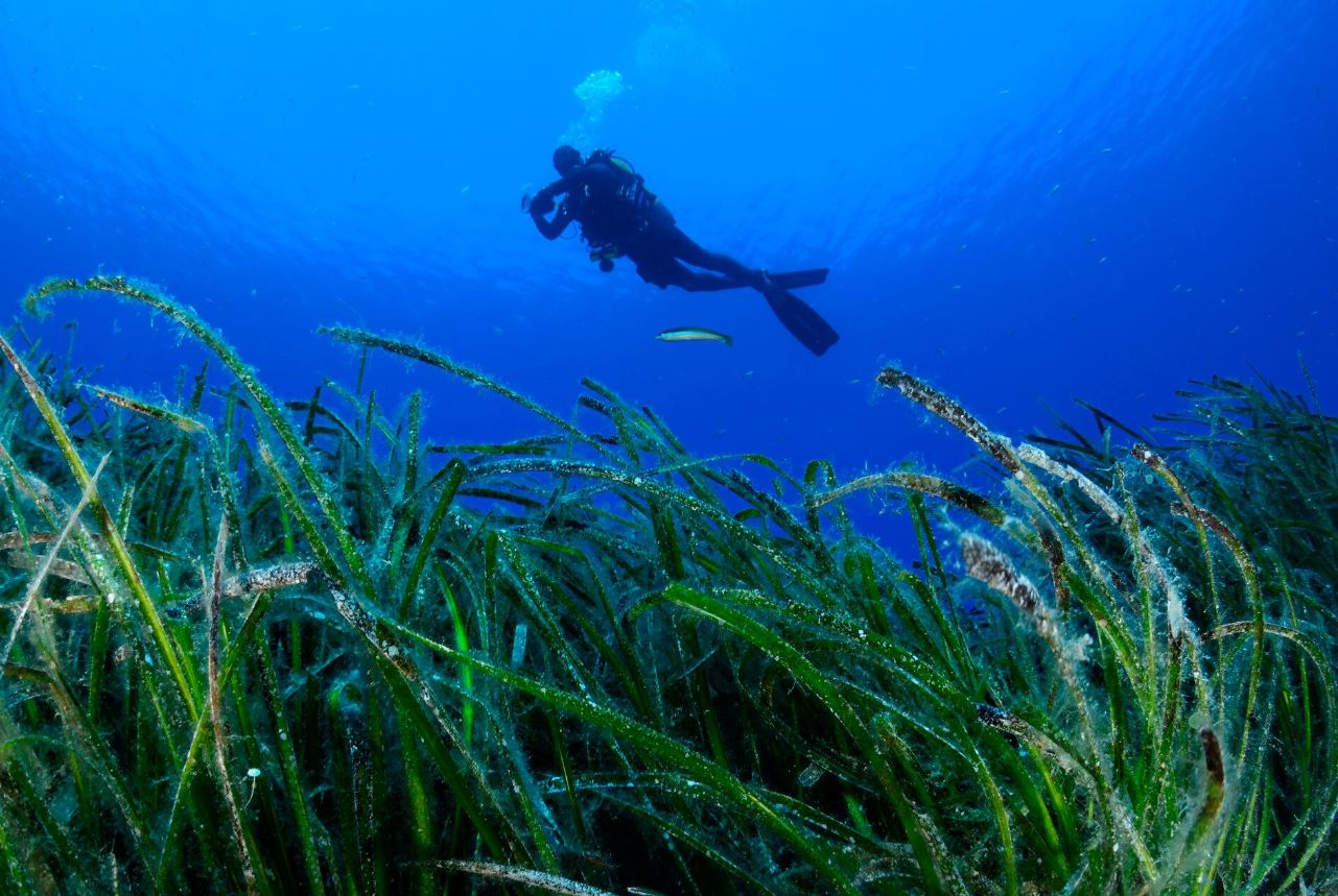 Νέα πρότυπη Θαλάσσια Προστατευόμενη Περιοχή στη Γυάρο (φωτογραφίες)-2