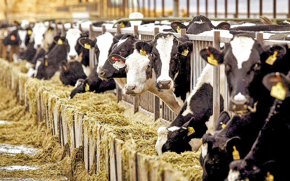 Η βιωσιμότητα του εδάφους της γης απειλείται από την κατάχρηση-1