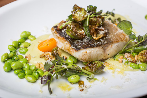 Μόντρεαλ by locals-1