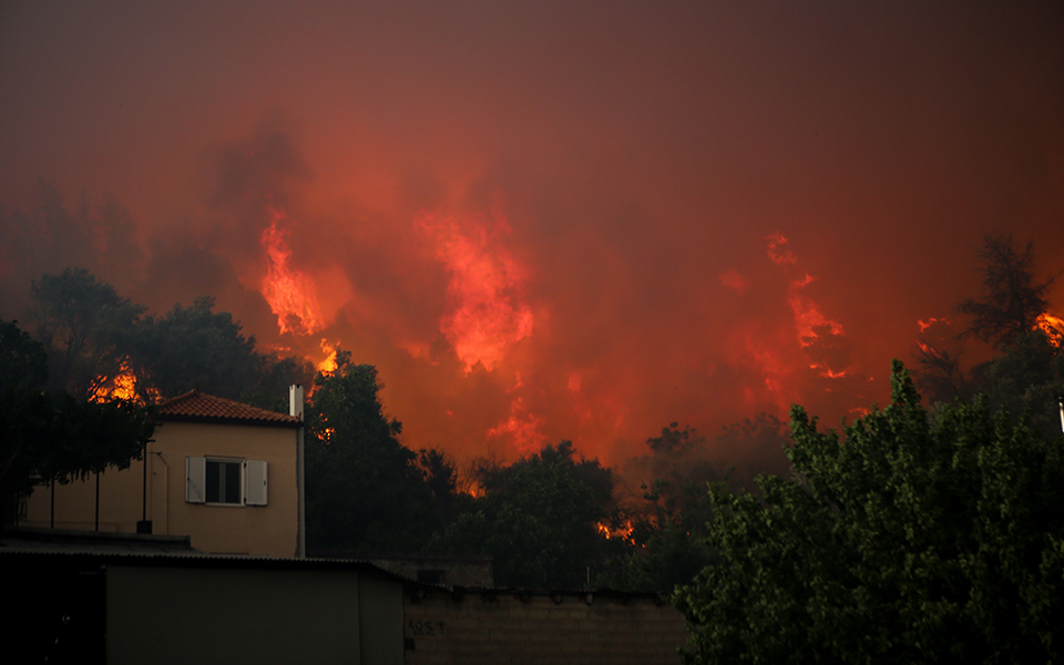 Ολονύχτια μάχη με τις φλόγες στην Εύβοια – Αντιπυρικές ζώνες με μπουλντόζες στα Ψαχνά (φωτογραφίες)-2