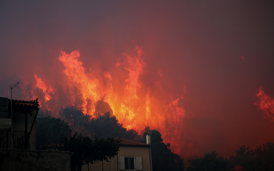 Ολονύχτια μάχη με τις φλόγες στην Εύβοια – Αντιπυρικές ζώνες με μπουλντόζες στα Ψαχνά (φωτογραφίες)-3