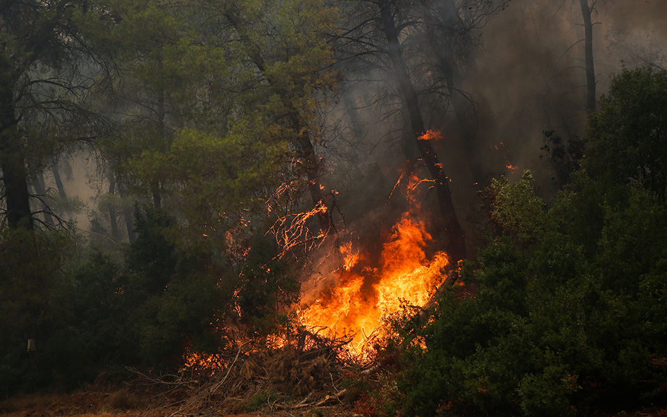 Ολονύχτια μάχη με τις φλόγες στην Εύβοια – Αντιπυρικές ζώνες με μπουλντόζες στα Ψαχνά (φωτογραφίες)-6