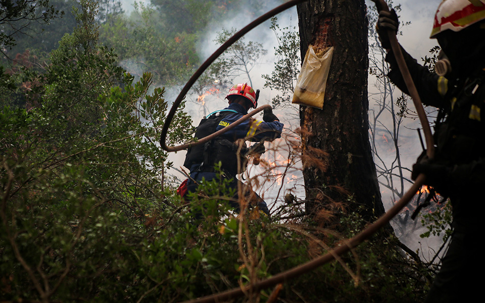 Ολονύχτια μάχη με τις φλόγες στην Εύβοια – Αντιπυρικές ζώνες με μπουλντόζες στα Ψαχνά (φωτογραφίες)-8