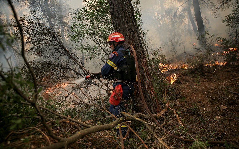 Ολονύχτια μάχη με τις φλόγες στην Εύβοια – Αντιπυρικές ζώνες με μπουλντόζες στα Ψαχνά (φωτογραφίες)-10