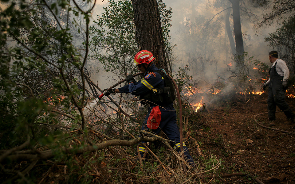 Ολονύχτια μάχη με τις φλόγες στην Εύβοια – Αντιπυρικές ζώνες με μπουλντόζες στα Ψαχνά (φωτογραφίες)-16