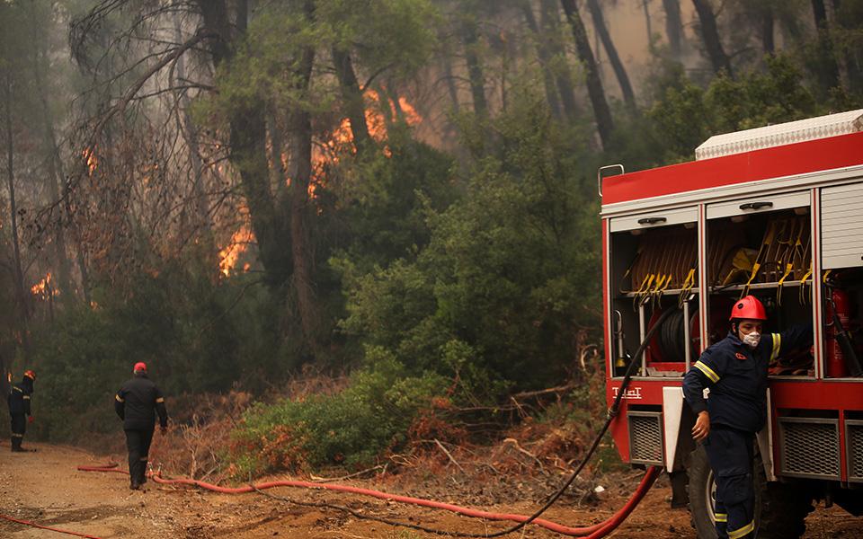 Ολονύχτια μάχη με τις φλόγες στην Εύβοια – Αντιπυρικές ζώνες με μπουλντόζες στα Ψαχνά (φωτογραφίες)-17