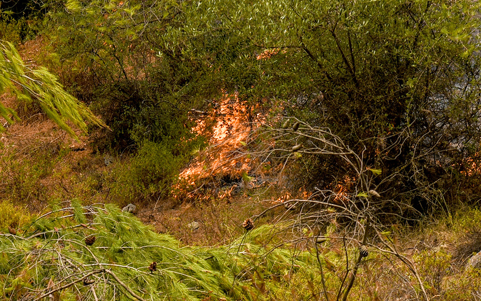 Ολονύχτια μάχη με τις φλόγες στην Εύβοια – Αντιπυρικές ζώνες με μπουλντόζες στα Ψαχνά (φωτογραφίες)-9