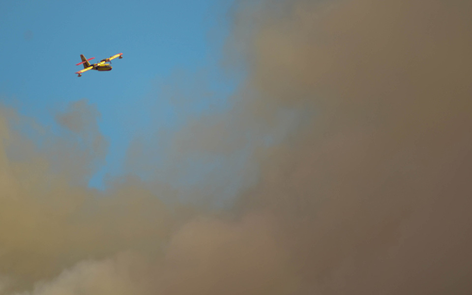 Ολονύχτια μάχη με τις φλόγες στην Εύβοια – Αντιπυρικές ζώνες με μπουλντόζες στα Ψαχνά (φωτογραφίες)-15