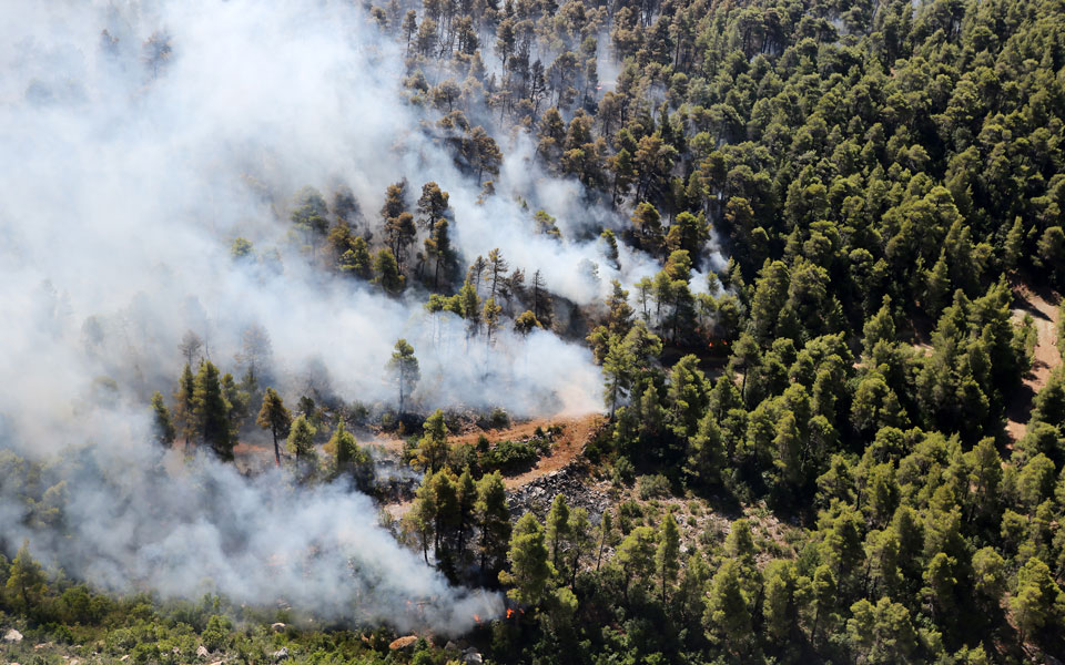 Ενισχύονται οι δυνάμεις πυρόσβεσης στην Εύβοια – Αντιπυρική ζώνη στο χωριό Πλατάνια (φωτογραφίες – βίντεο)-9