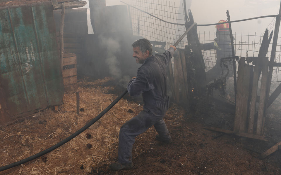 Ενισχύονται οι δυνάμεις πυρόσβεσης στην Εύβοια – Αντιπυρική ζώνη στο χωριό Πλατάνια (φωτογραφίες – βίντεο)-7