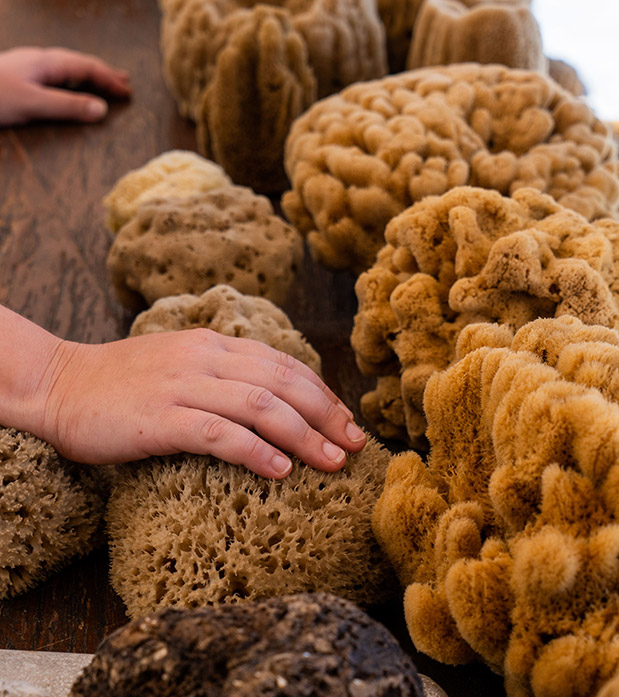 Σύμη: Ισχυρό Brand Name-2