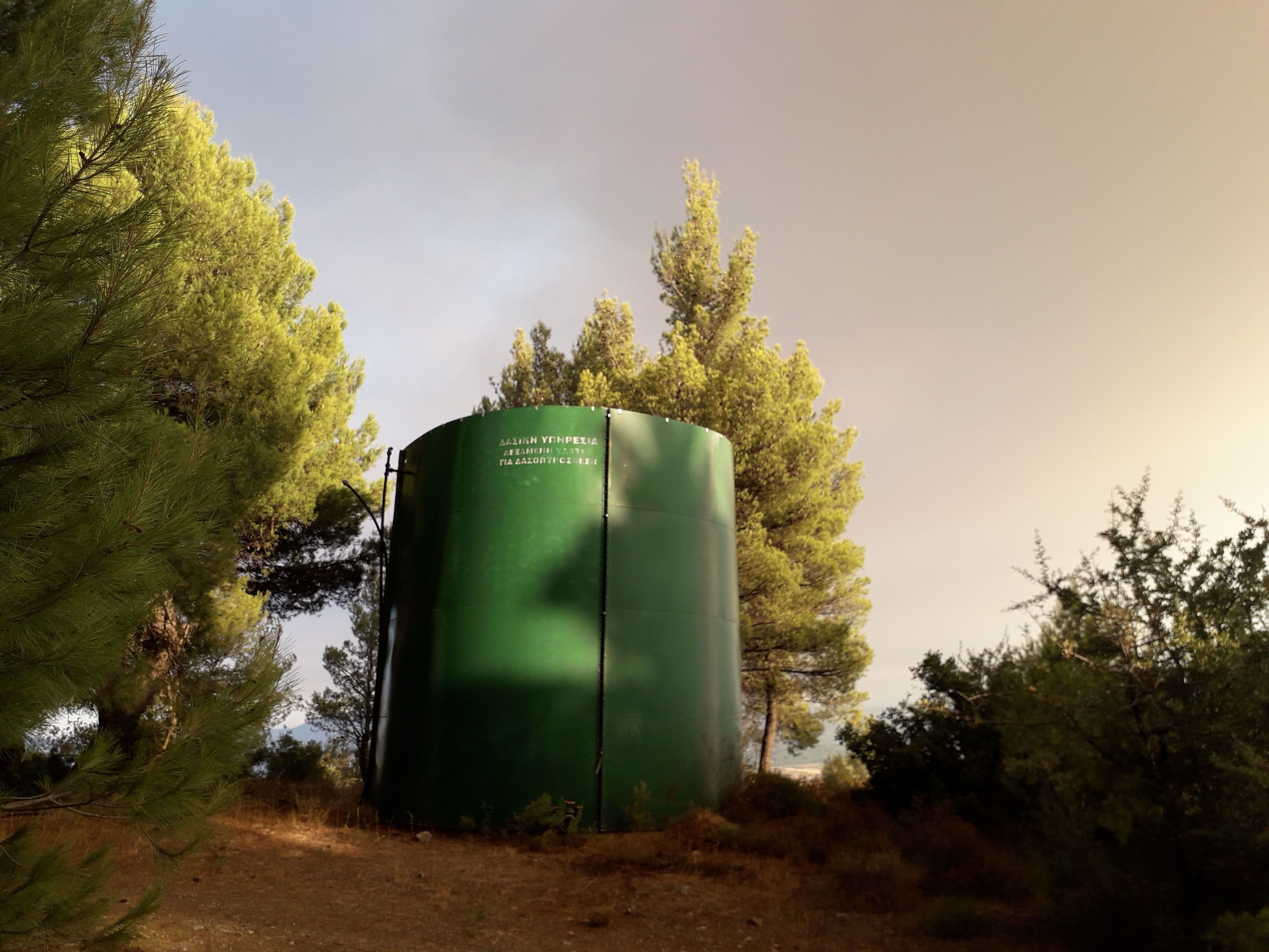 Τα μυστικά του δάσους στην Εύβοια-4