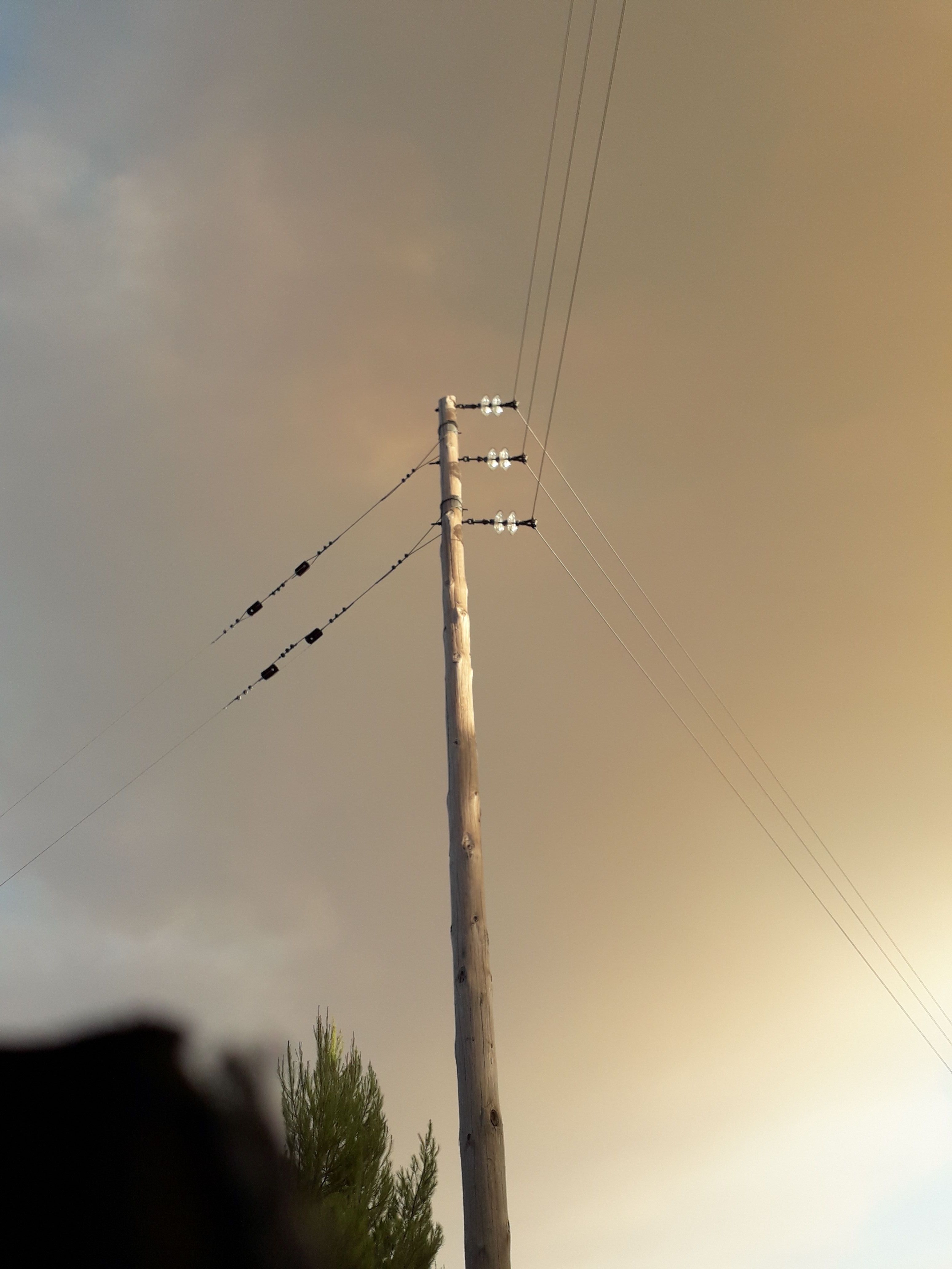 Τα μυστικά του δάσους στην Εύβοια-1