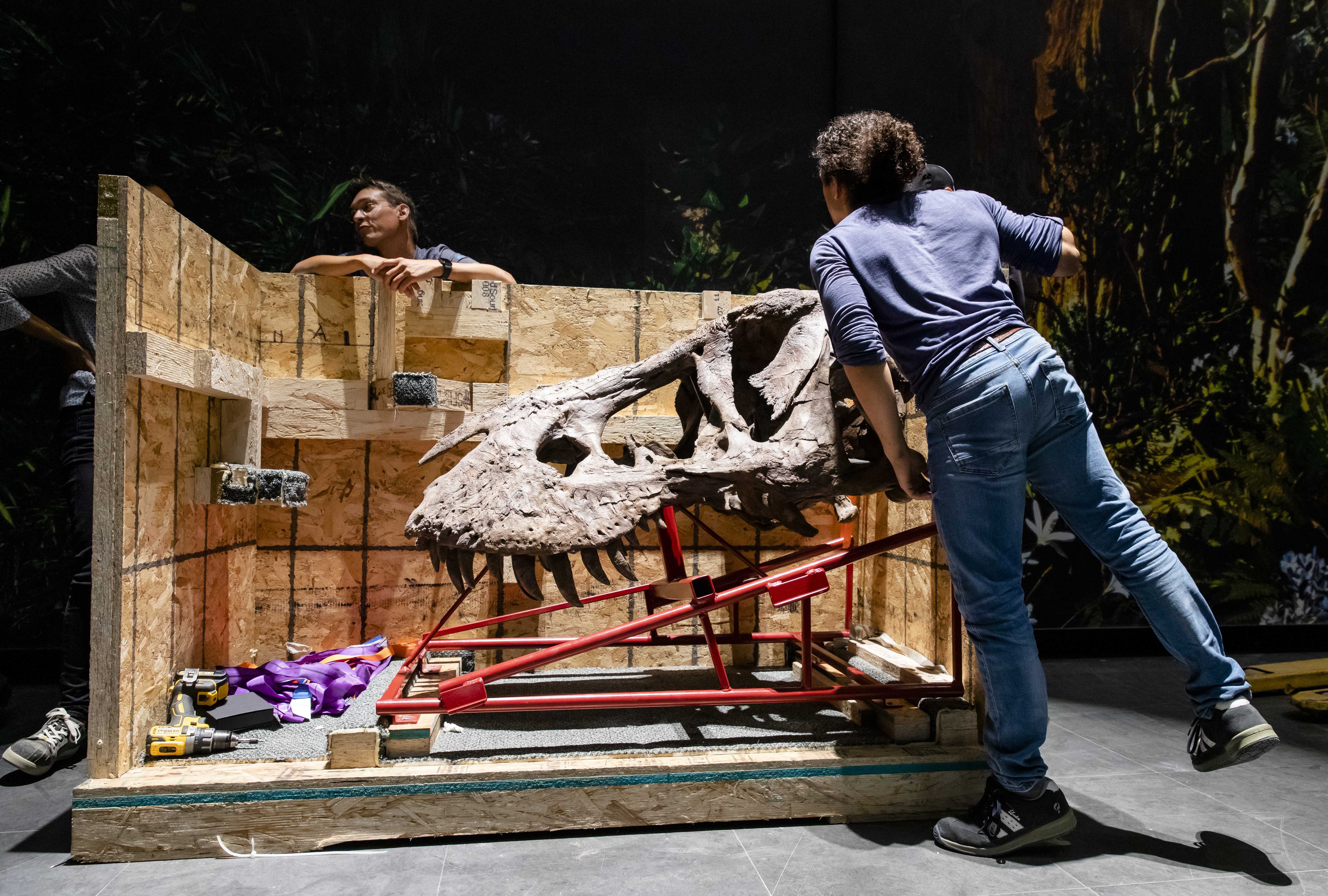 Ματιές στον κόσμο-4