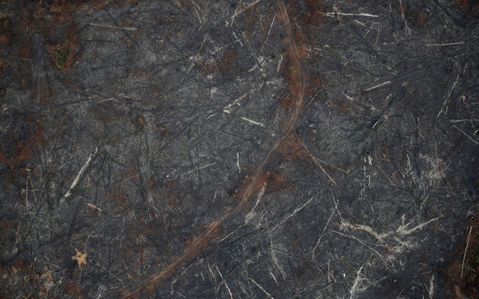 Βραζιλία: Ο ουρανός δεν σκοτεινιάζει ποτέ, καθώς ο Αμαζόνιος φλέγεται (φωτογραφίες)-7