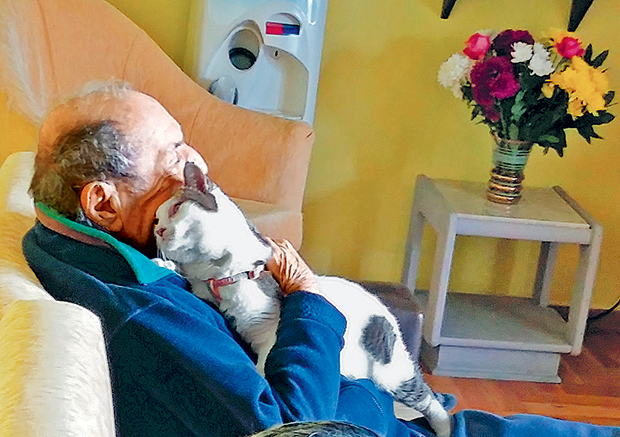 Τετράποδοι «θεραπευτές» και σύντροφοι-3