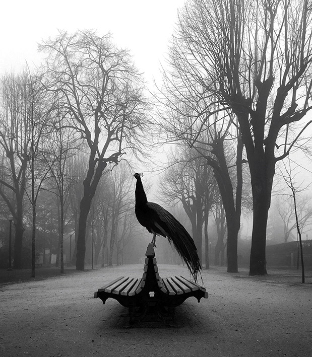 Με το κινητό-5