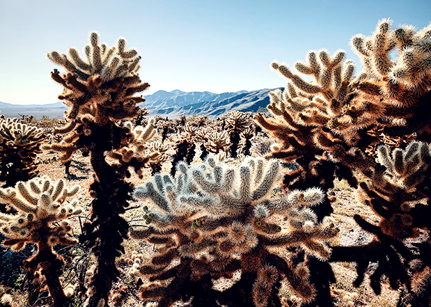 Με το κινητό-1