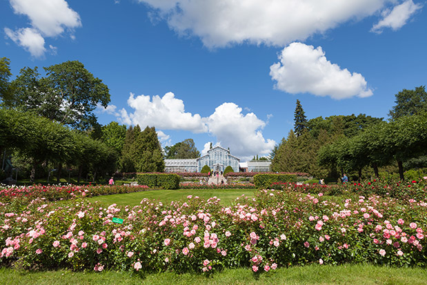 Ελσίνκι by locals-4