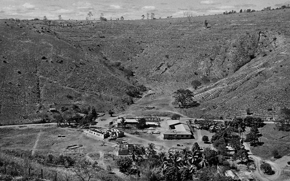 Τα δελτία ειδήσεων δεν μας κάνουν οικολόγους, τα βιβλία και οι ταινίες, όμως, μπορούν-2