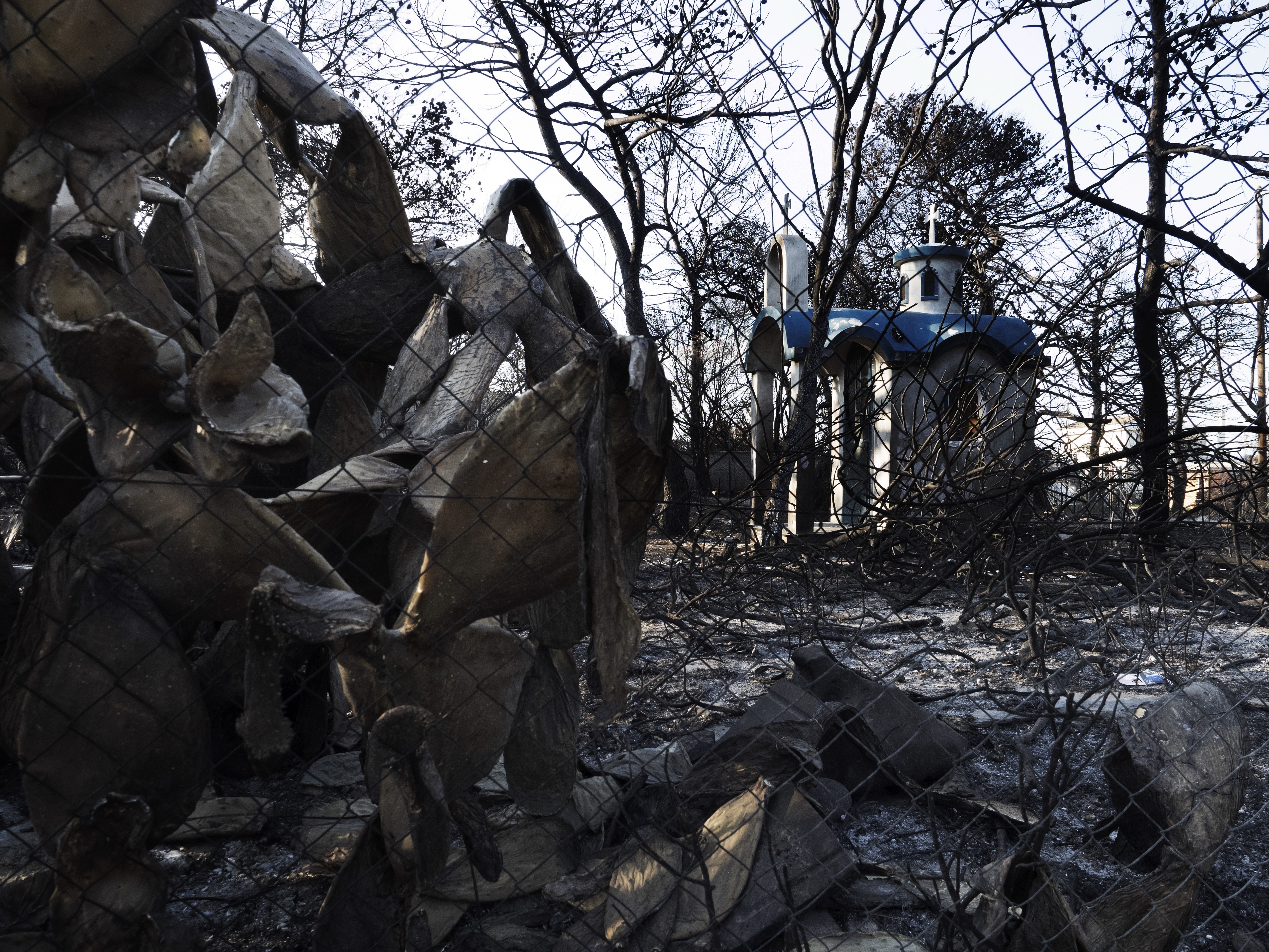 Φωτογραφίζοντας την τραγωδία-2