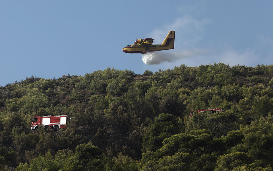 «Σε ύφεση» η πυρκαγιά στη Νέα Μάκρη – Συνεχίζονται οι ρίψεις από εναέρια μέσα-1