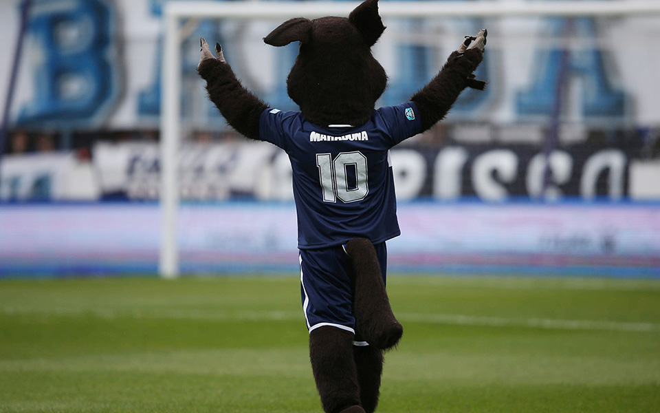 Αποθέωση του Μαραντόνα από τους οπαδούς της Χιμνάσια Λα Πλάτα (φωτογραφίες)-5