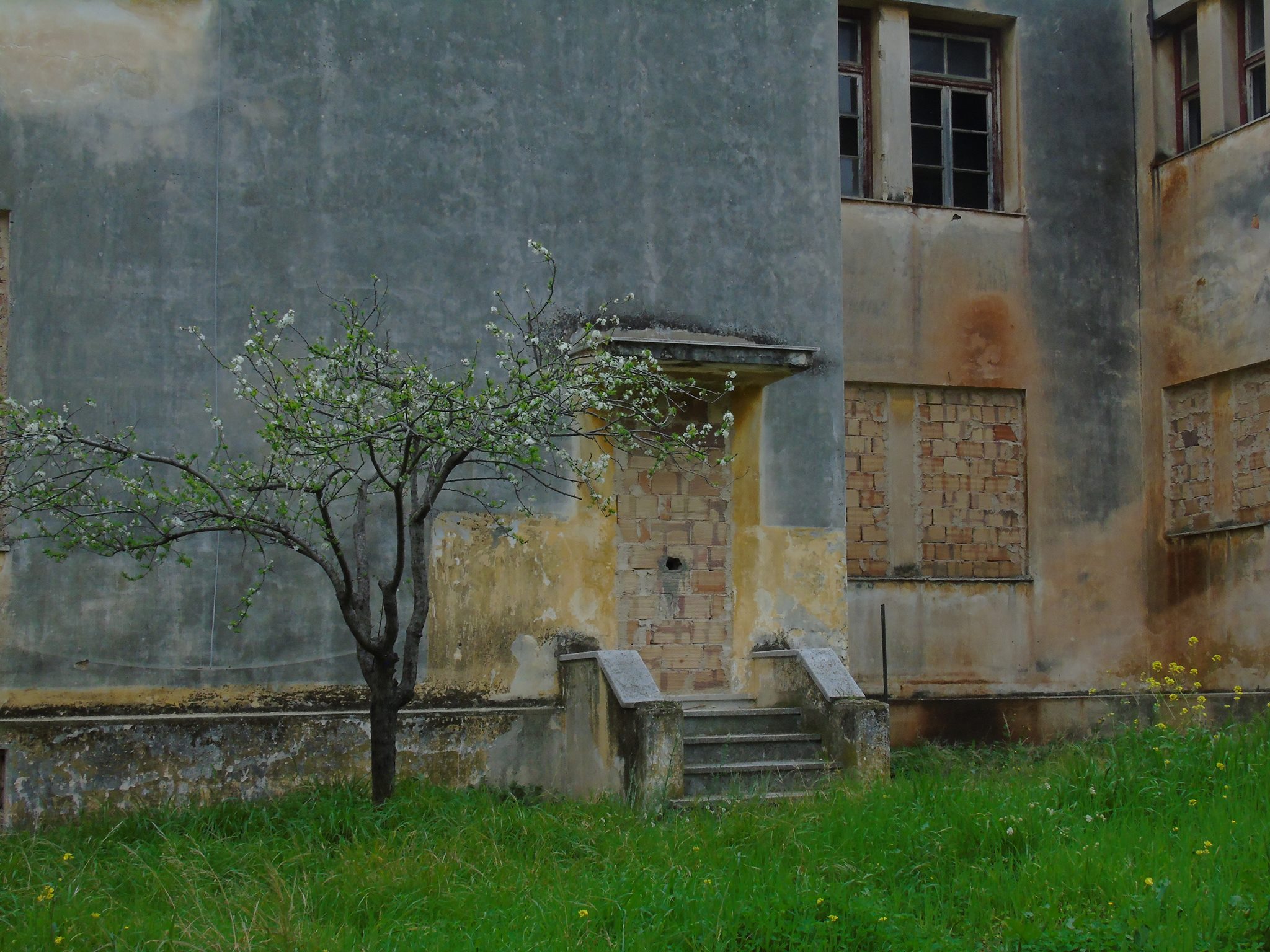 Τα λεπροκομεία της Ελλάδας και οι ζωή των Χανσενικών σε μία έκθεση (φωτογραφίες)-3