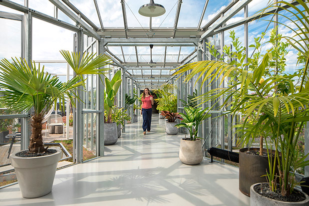 Στο Άμστερνταμ τώρα-6