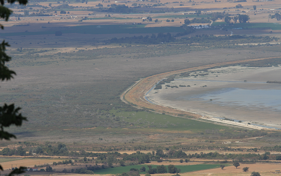Χιλιάδες νεκρά ψάρια στη λίμνη Κορώνεια – μειώθηκε η στάθμη του νερού-4