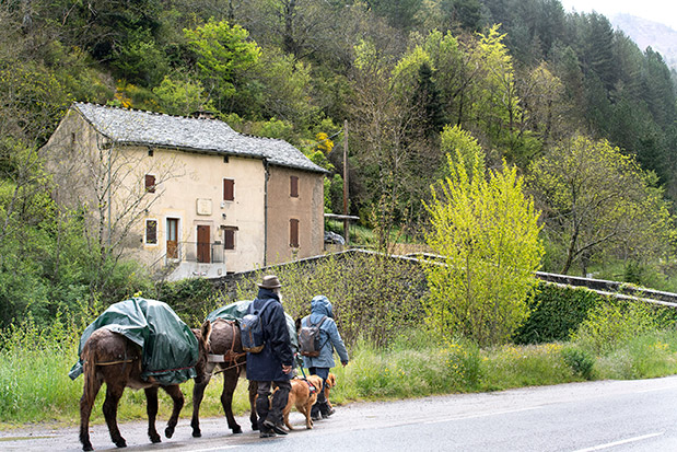 Περιπέτεια αλά γαλλικά-2