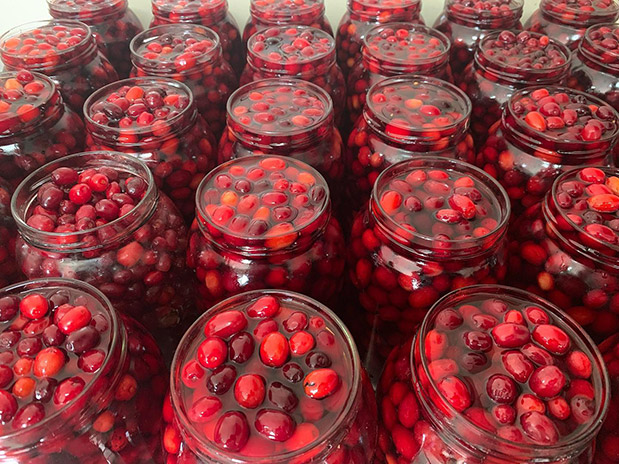 Δυτικά Βαλκάνια: Γνωριμία με τους γείτονες-4