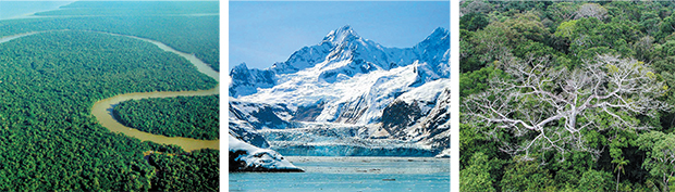 «Φυσικές λύσεις» για την προστασία του πλανήτη-1