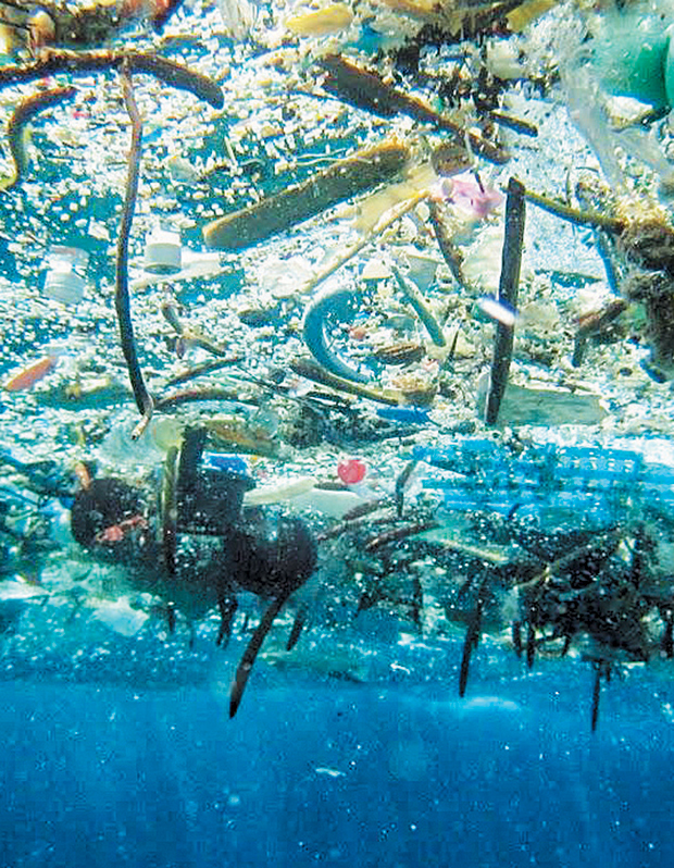 «Φυσικές λύσεις» για την προστασία του πλανήτη-3