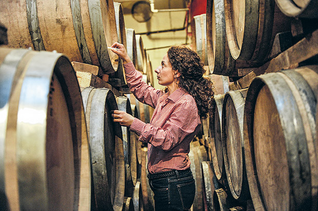 Αφιέρωμα Οινοτουρισμός: Ραντεβού στην «πηγή»-7