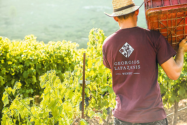 Αφιέρωμα Οινοτουρισμός: Ραντεβού στην «πηγή»-4