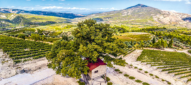 Αφιέρωμα Οινοτουρισμός: Ραντεβού στην «πηγή»-8