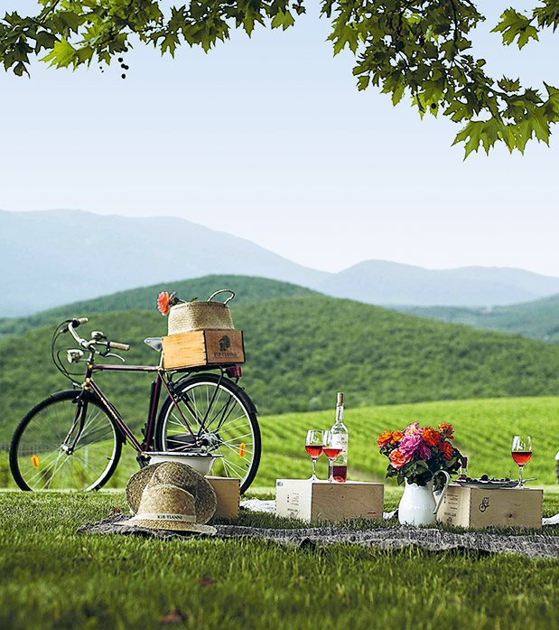 Αφιέρωμα Οινοτουρισμός: Ραντεβού στην «πηγή»-6