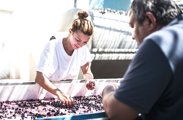 Αφιέρωμα Οινοτουρισμός: Ραντεβού στην «πηγή»-12