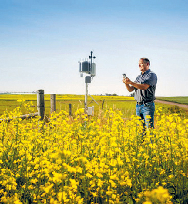 Το μέλλον, στις υπηρεσίες εξ αποστάσεως-2