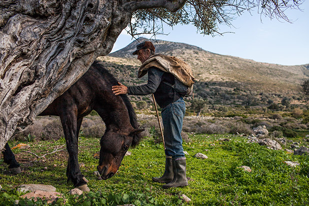 Στην Αίγινα μεταξύ μας-4