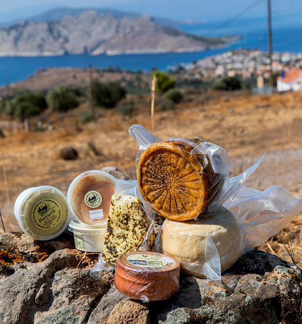 Στην Αίγινα μεταξύ μας-3