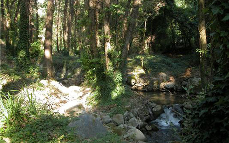 Το μονοπάτι του Μαινάλου γίνεται μοντέλο βιώσιμης ανάπτυξης για όλη την Πελοπόννησο-9