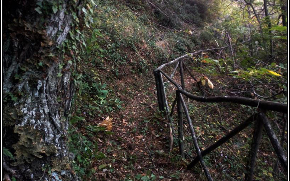 Το μονοπάτι του Μαινάλου γίνεται μοντέλο βιώσιμης ανάπτυξης για όλη την Πελοπόννησο-6