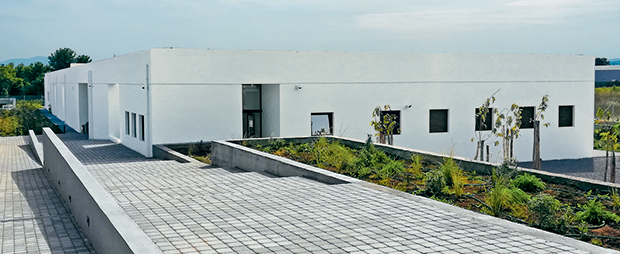 Πρώτη φορά αποτέφρωση νεκρών στην Ελλάδα-1